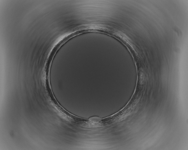 X0000111461024200907271247