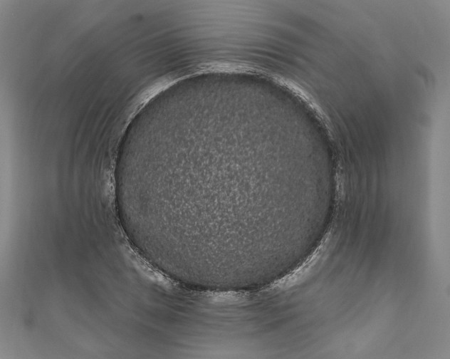 X0000111461025200907271247