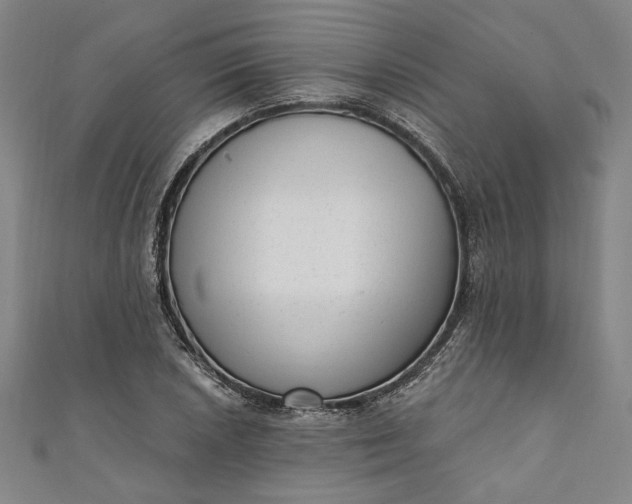 X0000111461026200907271247