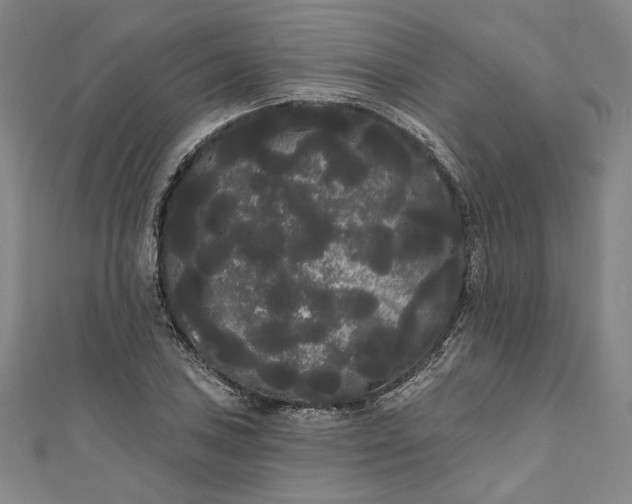 X0000111461027200907271247