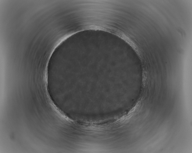 X0000111461028200907271247