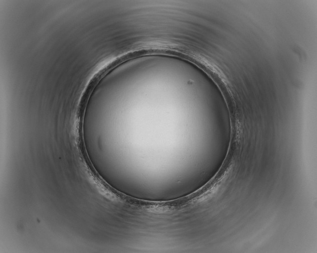 X0000111461029200907271247