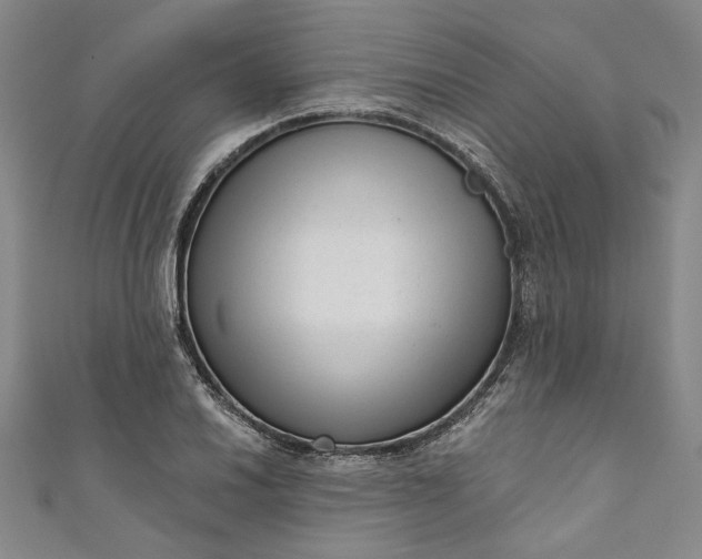 X0000111461030200907271247