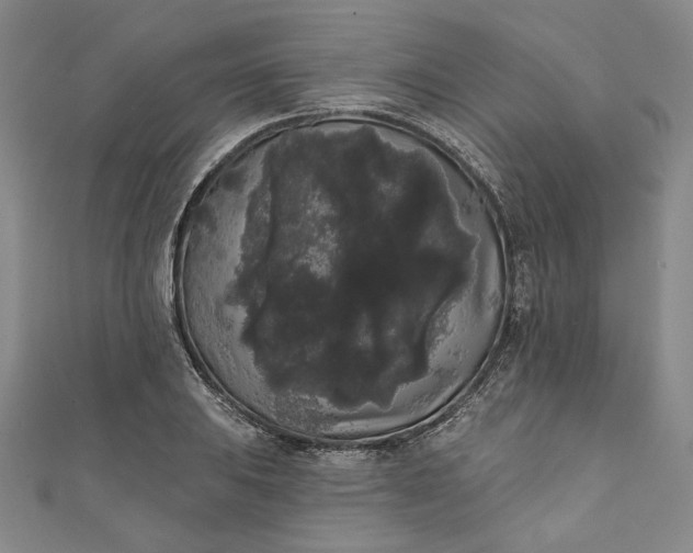 X0000111461031200907271247