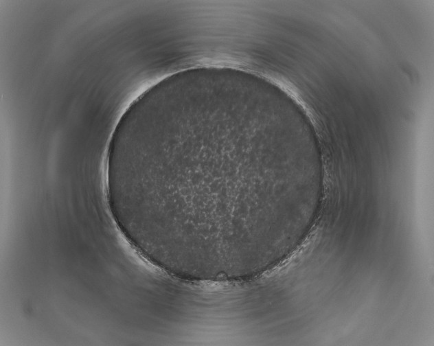 X0000111461032200907271247