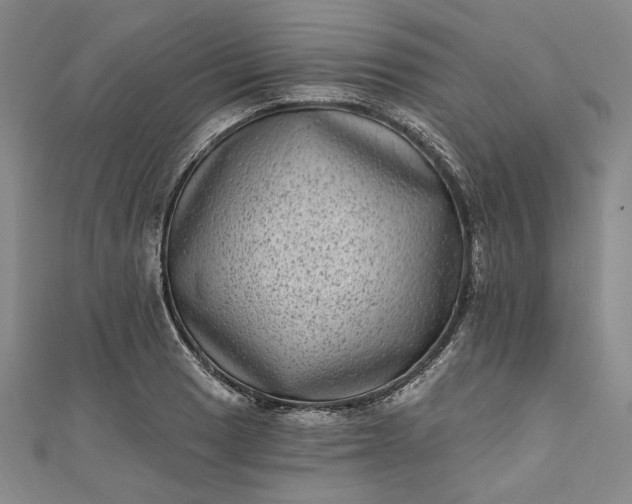 X0000111461033200907271247