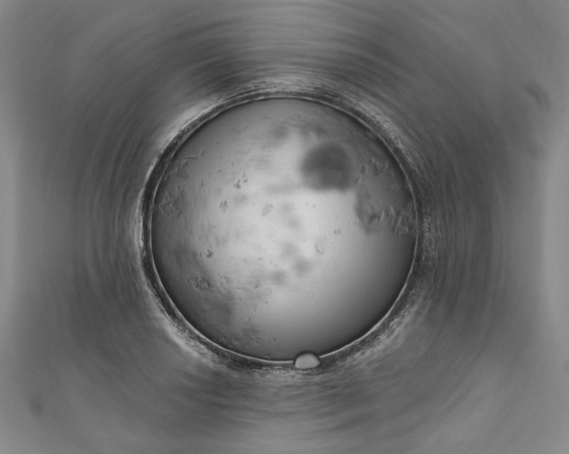 X0000111461034200907271247