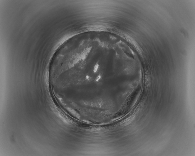 X0000111461035200907271247