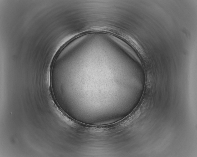 X0000111461036200907271247