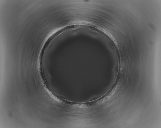 X0000111461037200907271247