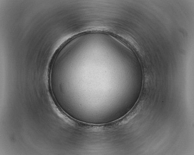 X0000111461038200907271247