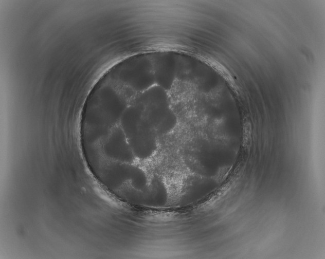 X0000111461039200907271247