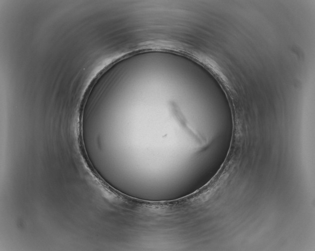 X0000111461040200907271247