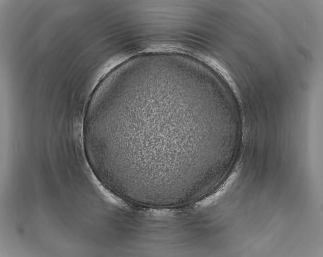 X0000111461041200907271247