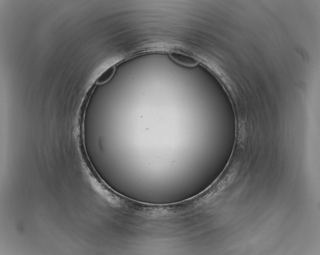 X0000111461042200907271247