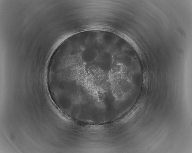 X0000111461043200907271247