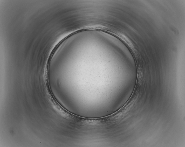 X0000111461044200907271247