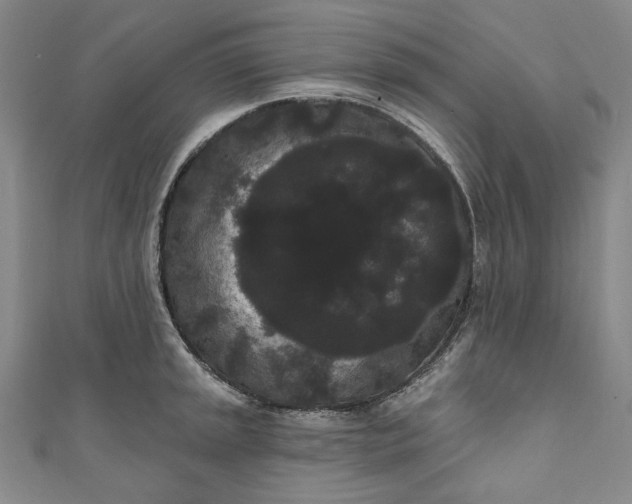 X0000111461045200907271247