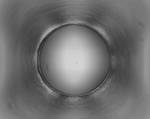 X0000111461046200907271247