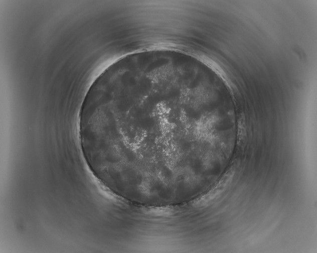 X0000111461047200907271247