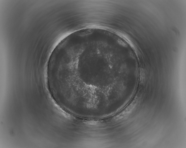 X0000111461048200907271247