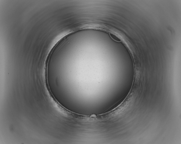 X0000111461050200907271247