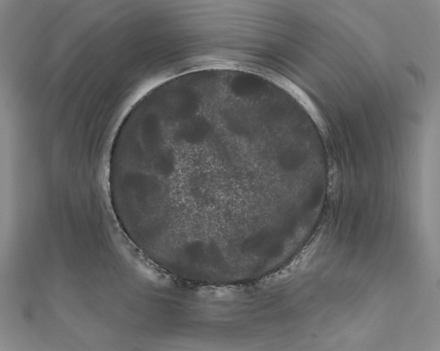 X0000111461051200907271247