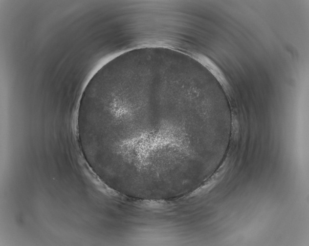 X0000111461052200907271247