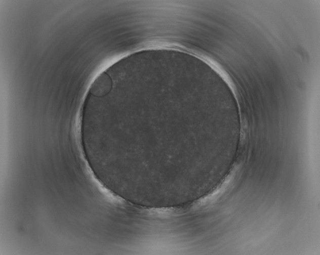 X0000111461053200907271247