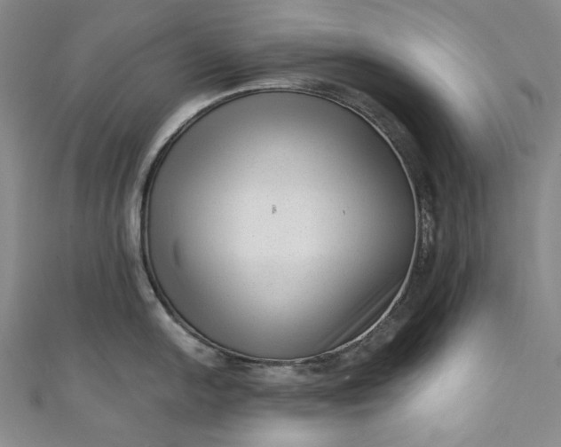 X0000111461054200907271247