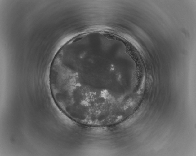 X0000111461055200907271247