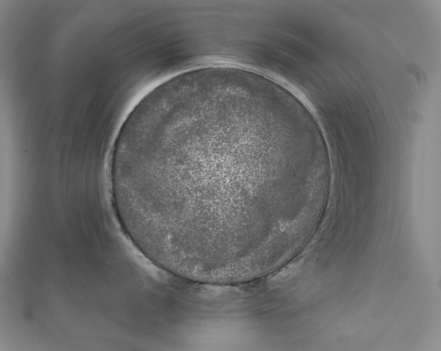 X0000111461056200907271247