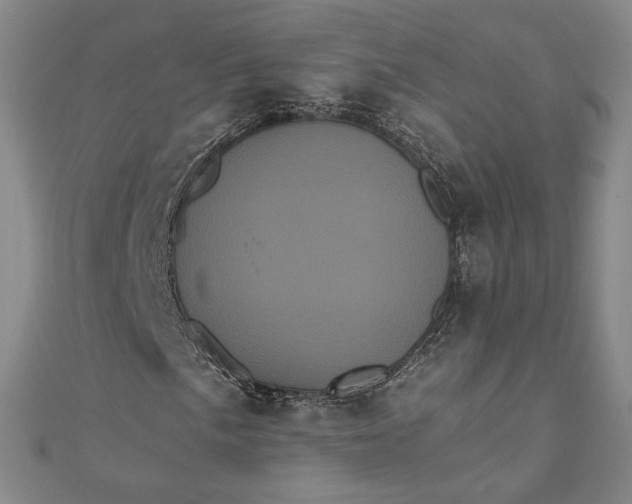 X0000111461057200907271247