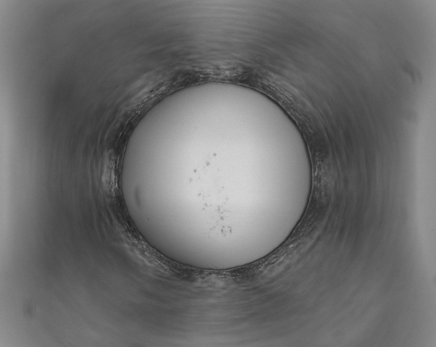 X0000111461058200907271247