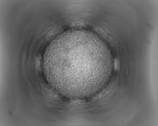 X0000111461059200907271247