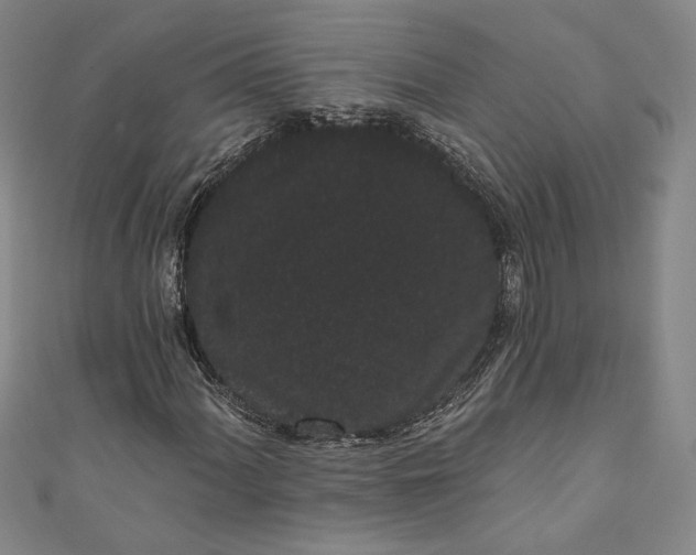 X0000111461060200907271247