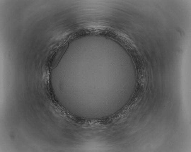 X0000111461061200907271247