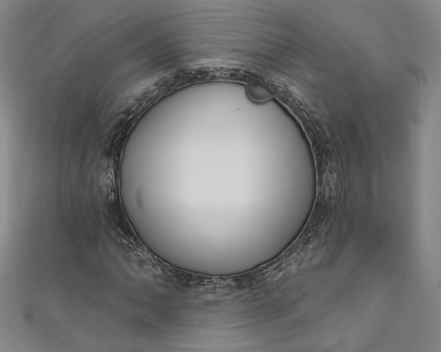 X0000111461062200907271247