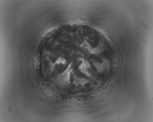 X0000111461063200907271247