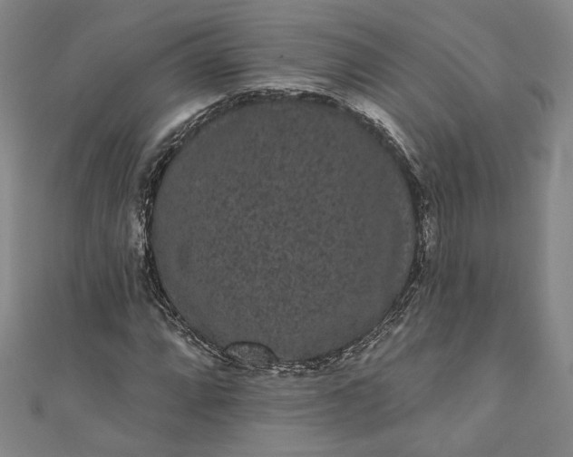 X0000111461064200907271247