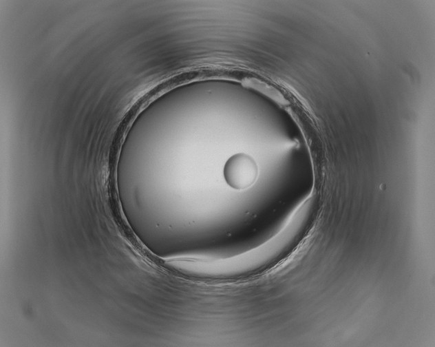 X0000111461065200907271247