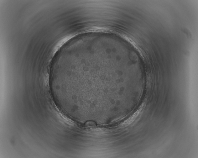 X0000111461066200907271247