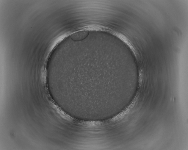 X0000111461067200907271247