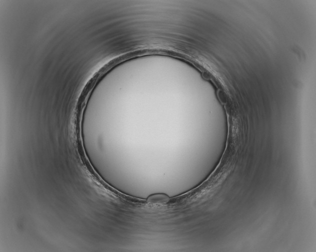 X0000111461068200907271247