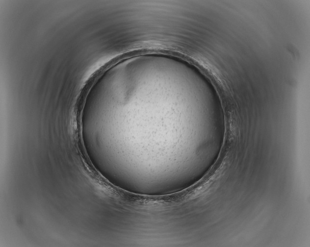 X0000111461070200907271247