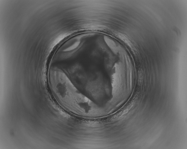 X0000111461071200907271246