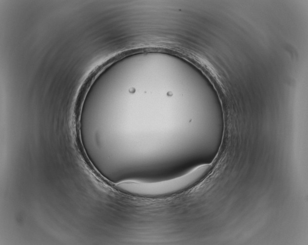 X0000111461072200907271246