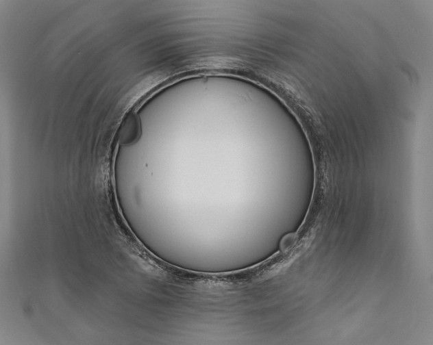 X0000111461073200907271246