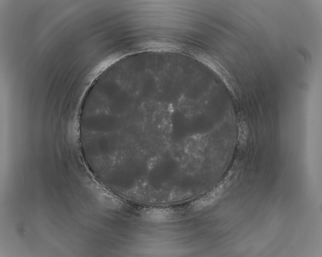 X0000111461074200907271246