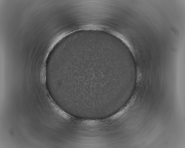 X0000111461075200907271246